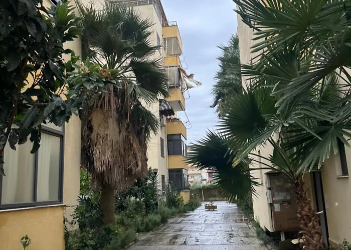 Tek Kompleksi Thomallari-golem Golem (Tirana)